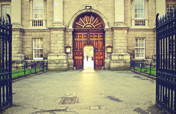 Online undergraduates